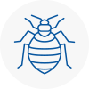 Bed Bug Extermination In Crowborough