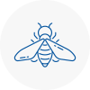 Bee Nest Removal Crowborough