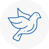 Bird Prevention Crowborough