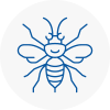 Crowborough Hornet Nest Removals