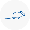 Mice Exterminators In Crowborough