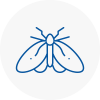 Moth Control Specialists In Crowborough