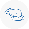 Rat Control Crowborough