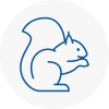 Crowborough Rodent Removals